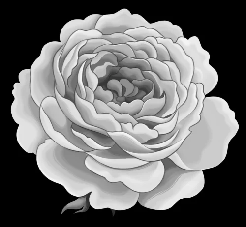 Цветок 009 (пион)